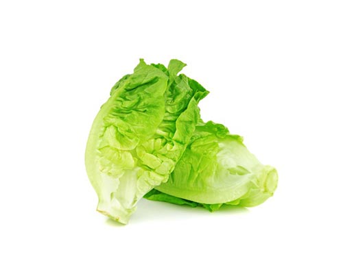 Lettuce